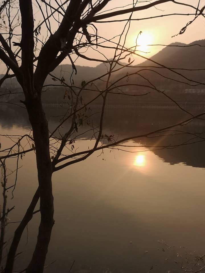 冬日济南凤凰湖|山东好景| 好景