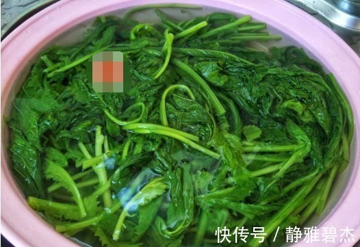 好吃|用它包饺子还是头一回,老公却说这是他吃过最好吃的饺子,馅真香