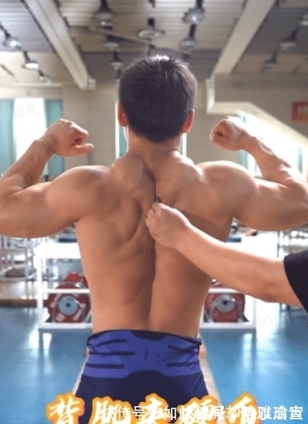 全国锦标赛|国家级运动员的背肌有多狠？网友：生怕把树都夹起来了