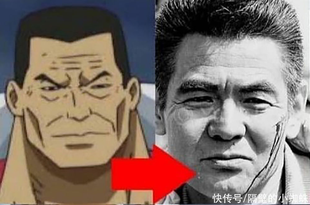 青雉|海贼王:6位海军大将的原型人物,青雉、赤犬好帅,桃兔美爆了