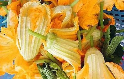 聪明女性多吃三种食物,营养细化、滋润肌肤,身体棒棒哒!