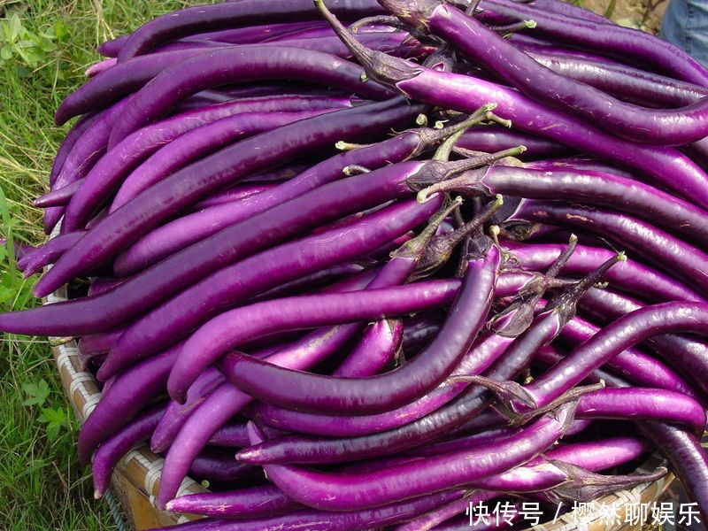 蔬菜|女人坐月子期间吃哪些蔬菜比较好,补气补血、美容养颜