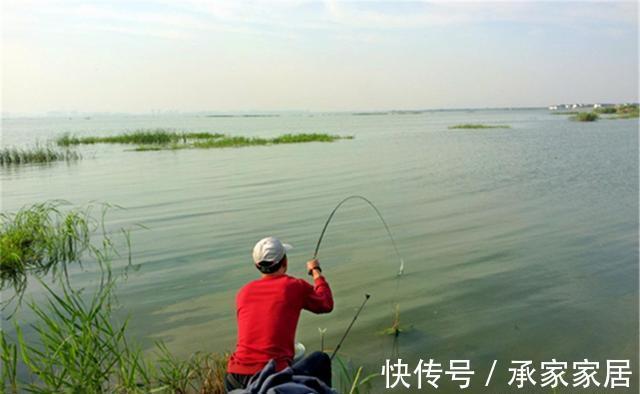 天气|秋季可以钓渊也可以钓边,但是钓边难度更大,套路得当方能爆护