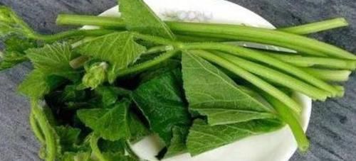 食物|中年人，适合常吃以下食物，排毒润肠，降压降脂，增强体质