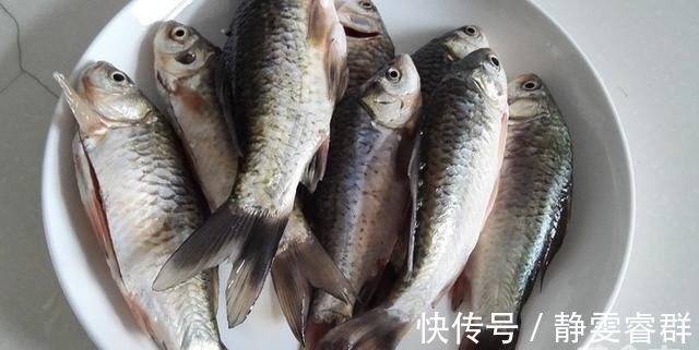 好吃|营养比甲鱼高，只能是它，红烧煲汤都好吃，5块一斤却无人问津