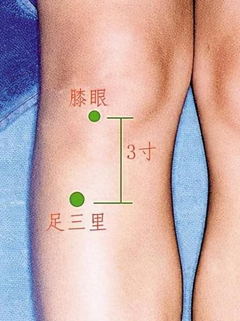  先天|肾为先天之本，脾为后天之本——冬日养脾早知道