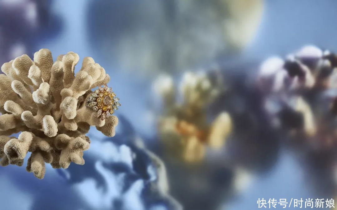 明星红毯才能一见的高级珠宝，究竟有多大的魅力？