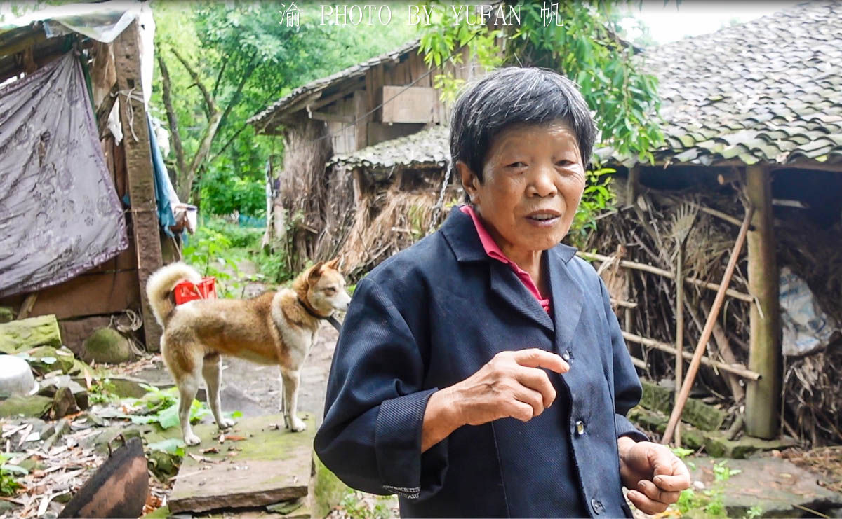 重庆65岁老人独居一座清朝古寨，美如世外桃源，养鸡养猪生活惬意