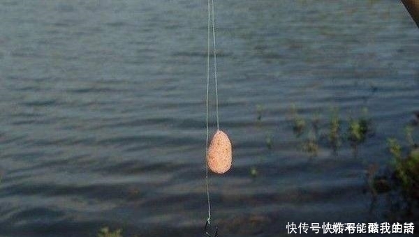 夏季|夏季钓鱼,子线的选用技巧,科学的选择子线长短,钓鱼事半功倍