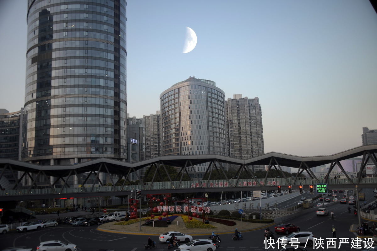 大片|遛弯上海夜景街拍【严建设】