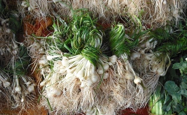 味道|农村野外常见,能温补助阳却被视为杂草,太可惜了!