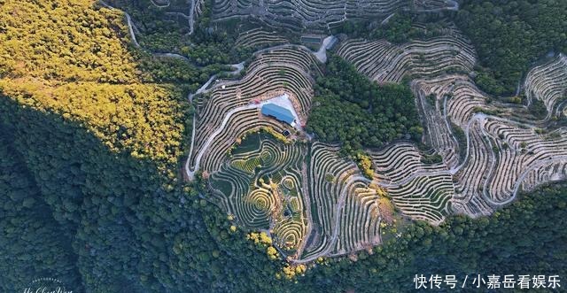 福建生态小镇，山连着山，水连着水，藏着一片世外桃源的茶山