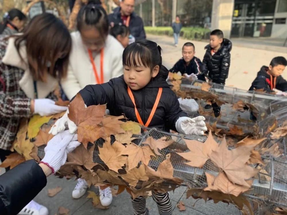  中国美院的秋叶艺术节