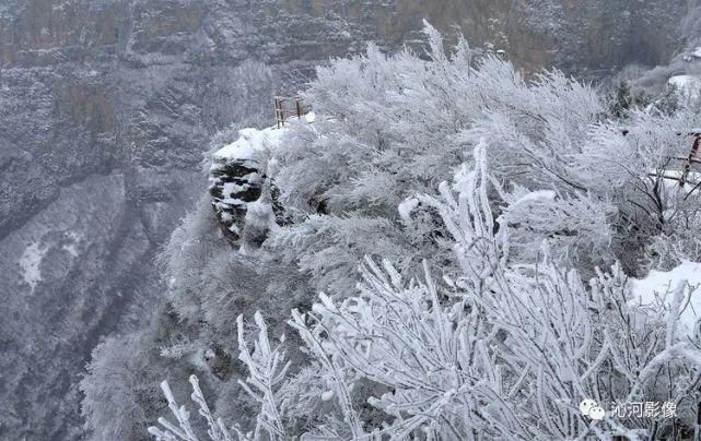 雪后王莽岭，美得不要不要的！