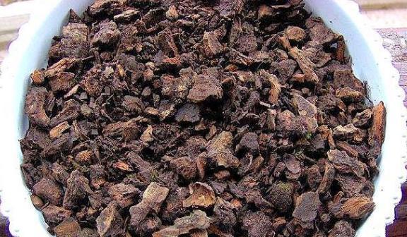 绿化带中的这2样,全是养花的宝贝,盆栽植物还能提供有机质