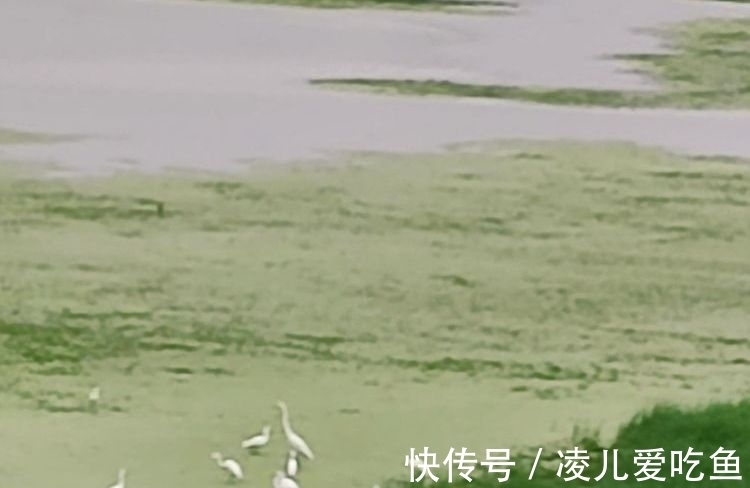 小船@秋雨中的梦(散文)