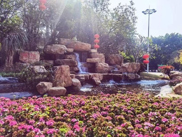 中年|2000平方米花展！流花湖公园11组主题景观华丽亮相