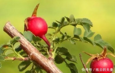 修养|真正修养高的人,都有这4个特质,有一个,都值得尊重