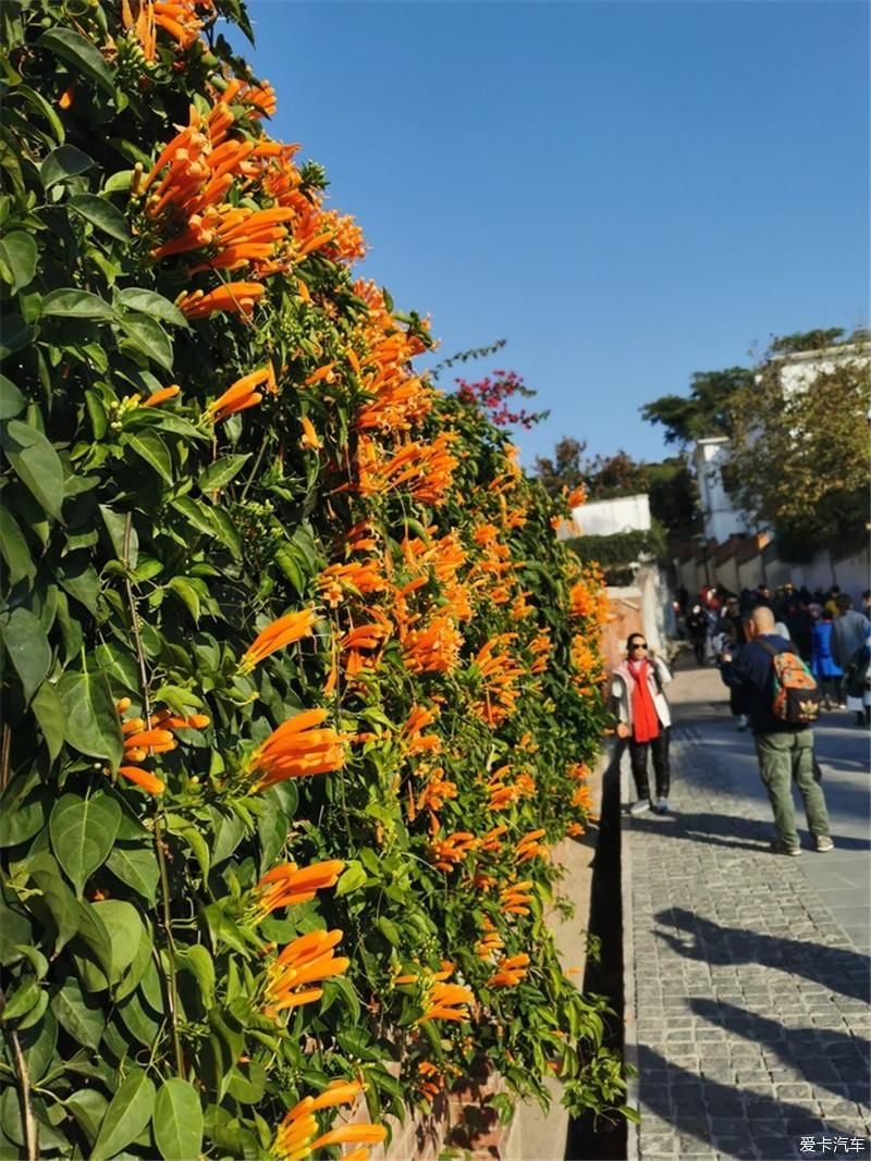 花海|厦门自由行
