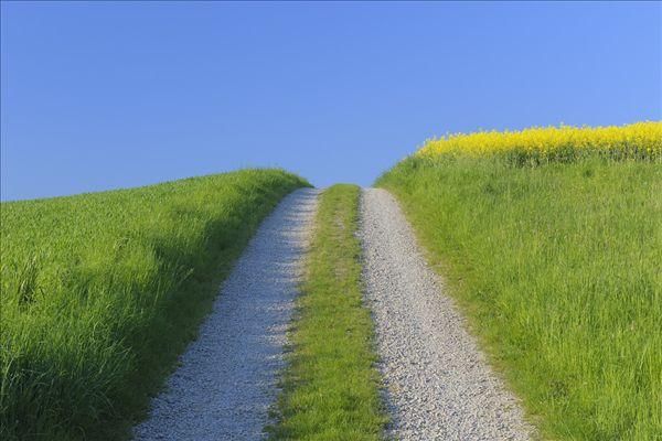 要津#《在路上》诗词26首:春山看遍又秋山，十载离人鬓已斑