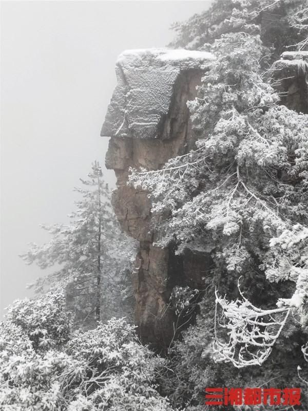 武陵源|张家界武陵源天子山迎今冬首雪