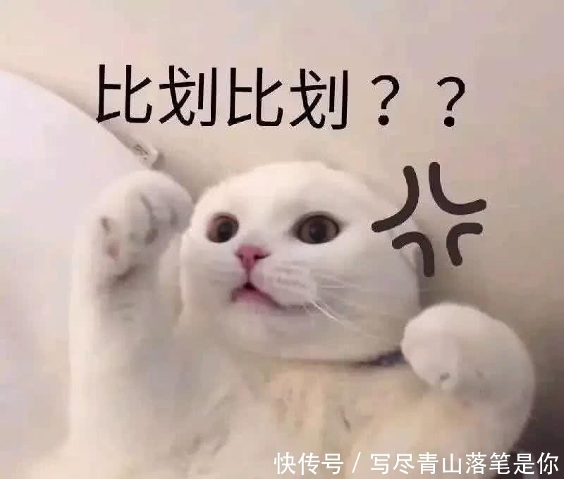 表情包|撩你个大猪蹄子!调戏男友专用表情包!男票:不把我当人喽!