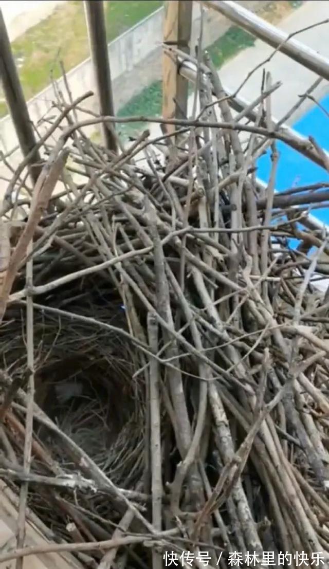 |男朋友:我太难了 冷段子1381 & 去年今日1071