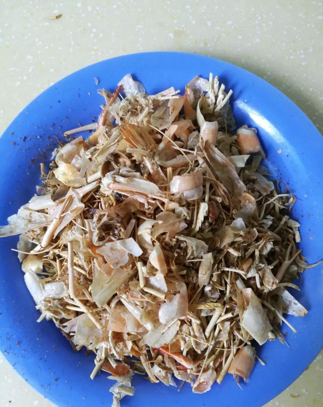 家里吃剩的果皮,拿来养花嗖嗖长,不黄叶、开花多