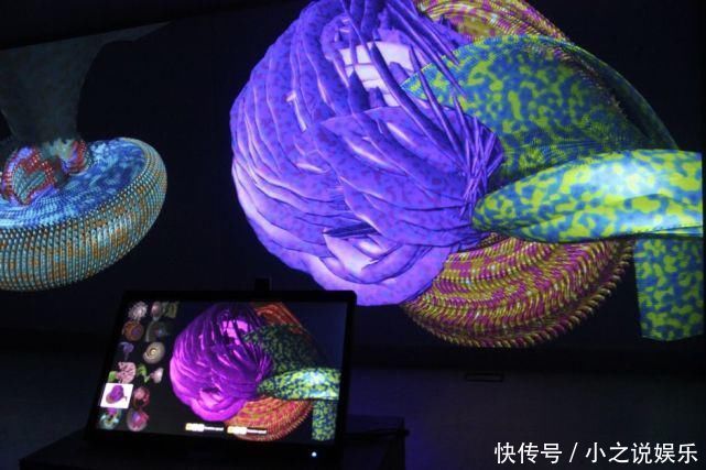 人类你别以为自己长得美,事实上,生物就该美成异形那个样……