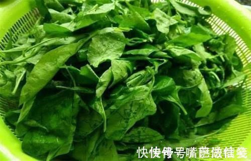 李子汁|聪明人爱吃的几种食物,排毒消脂,美白肌肤,延缓衰老