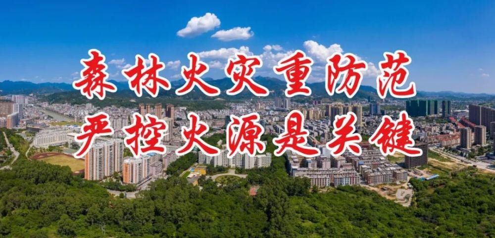  参与|华灯璀璨绽放，圣诞暖人心房 与圣诞老人参与“圣诞狂欢夜”