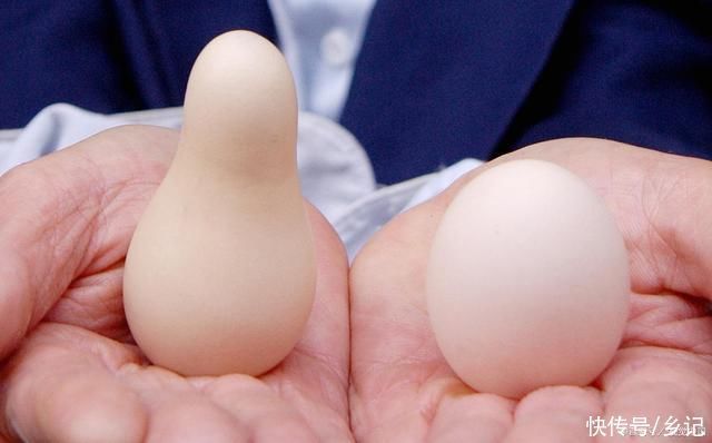 买鸡蛋的时候,怎样分辨出人造蛋都有哪些方法