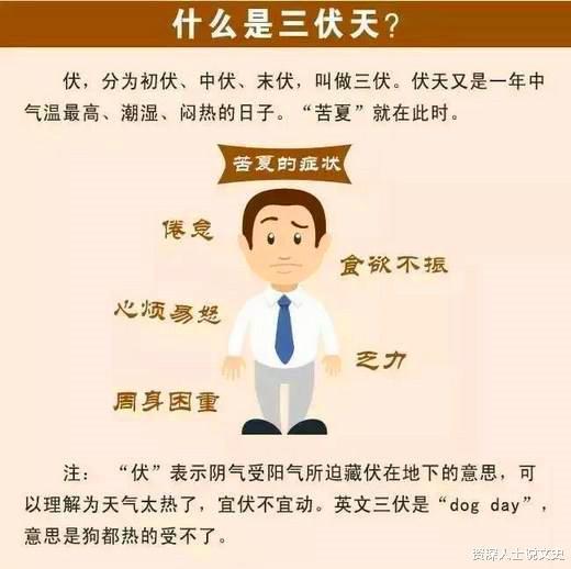 头伏饺子二伏面,三伏烙饼摊鸡蛋有道理吗三伏是如何推算的呢