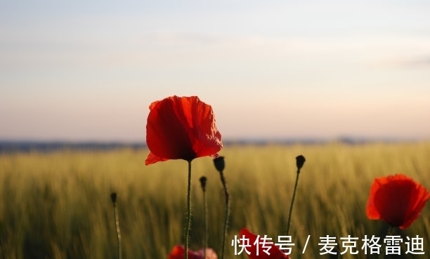 7月9日是什么日子