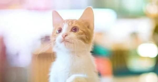 |幽默笑话:妹夫出差回来就进了卫生间,然后直接要跟小姨子离婚