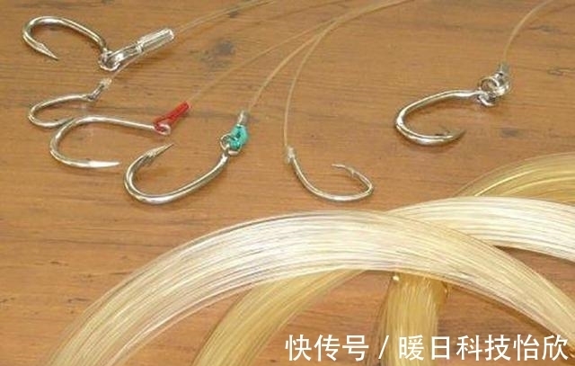 黑坑|钓鱼新手:粗线真的挡口吗?了解这4点,为你揭开挡口是否存在