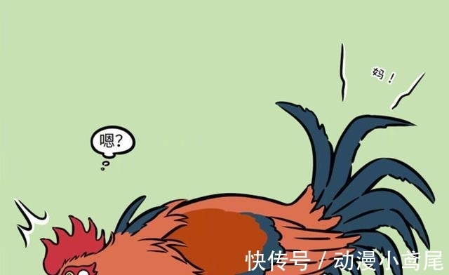 三只小鸟|非人哉:如何让一只颓废的鸡爱发朋友圈呢?只要三只小鸟就好了
