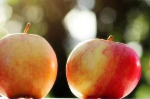 水果|湿气重的人平时尽量多吃4种水果,助你排出体内湿气,远离大肚腩