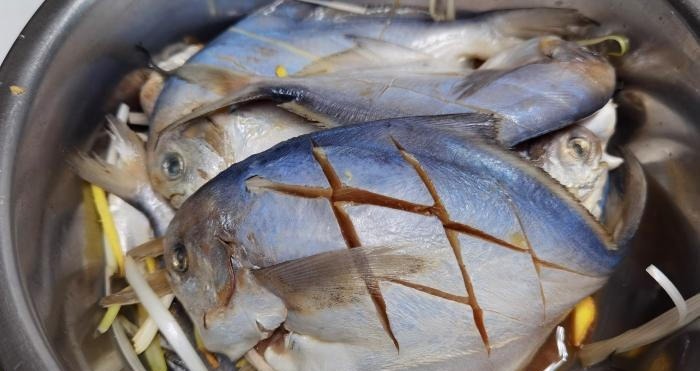 秋天碰到此鱼,我从不还价,一次准买5斤,营养极高,煎着吃最香