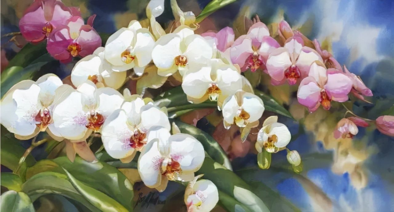 水彩&水彩画欣赏：澳大利亚水彩画家30张水彩花卉，动人