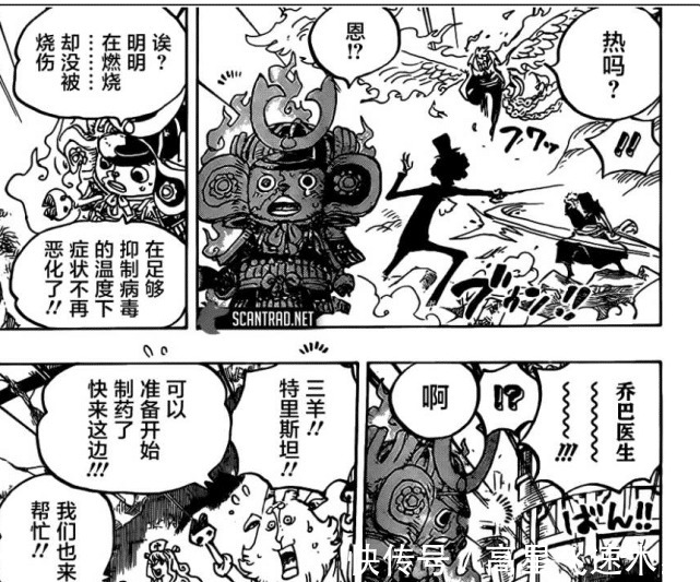 名震四海|海贼王乔巴被烧伤,索隆挥刀砍向马尔科,误会大了