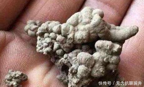 养花难不难?老花匠说:难的是养土,学会2个小诀窍,养好花不难
