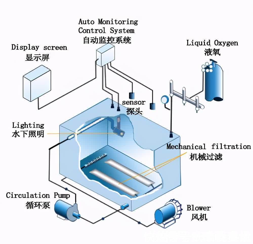 高手在民间，闽北神奇弓鱼术，能让鱼离水几天不死，是真的吗？