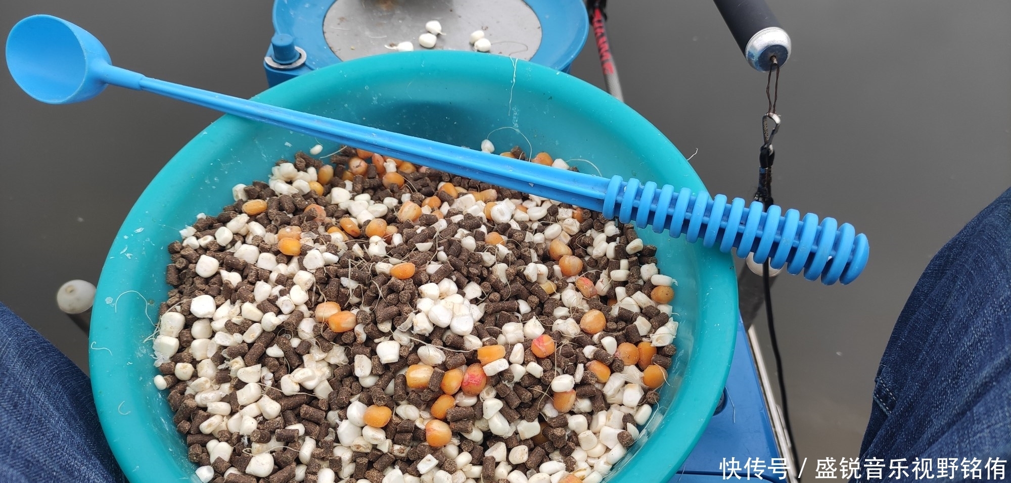 玉米最牛用法，学到就是赚到，狂拔大鲤鱼就靠它了。