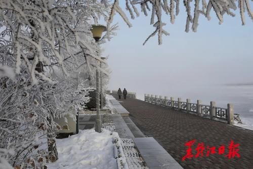 冰雪|沸腾冰雪季 乐游黑龙江｜来呼玛，感受别样冰雪之美！