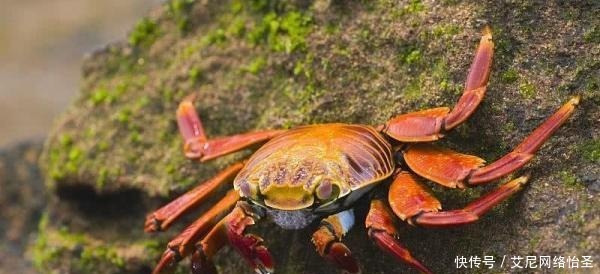 医生|米饭二次加热后会致癌？医生再次提醒4种食物不要加热再吃