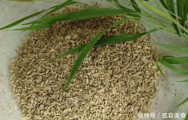 小茴香不仅是一种调味品，还是失眠人的福音，经常食用有几大功效