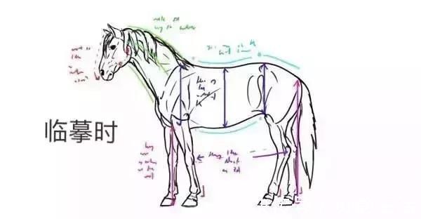 形体@画不好素描头像?那你需要好好看下这篇文章