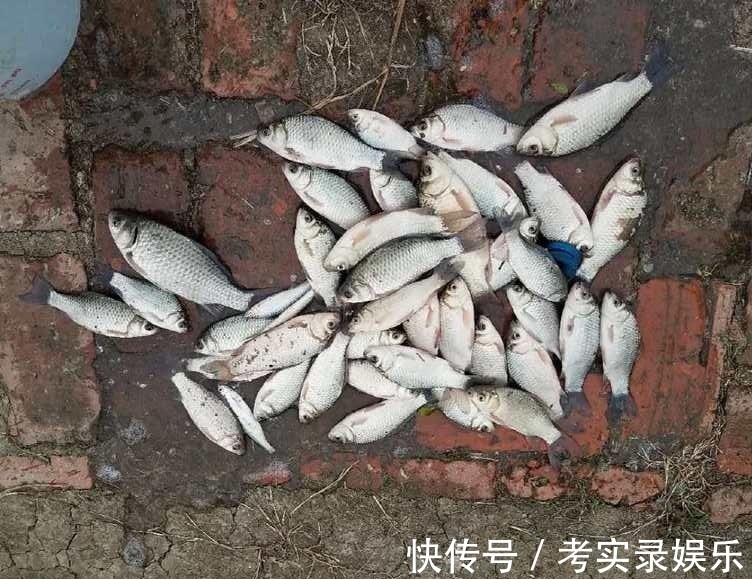 测试水里有没有鱼,这3招就够了,钓鱼前试试看