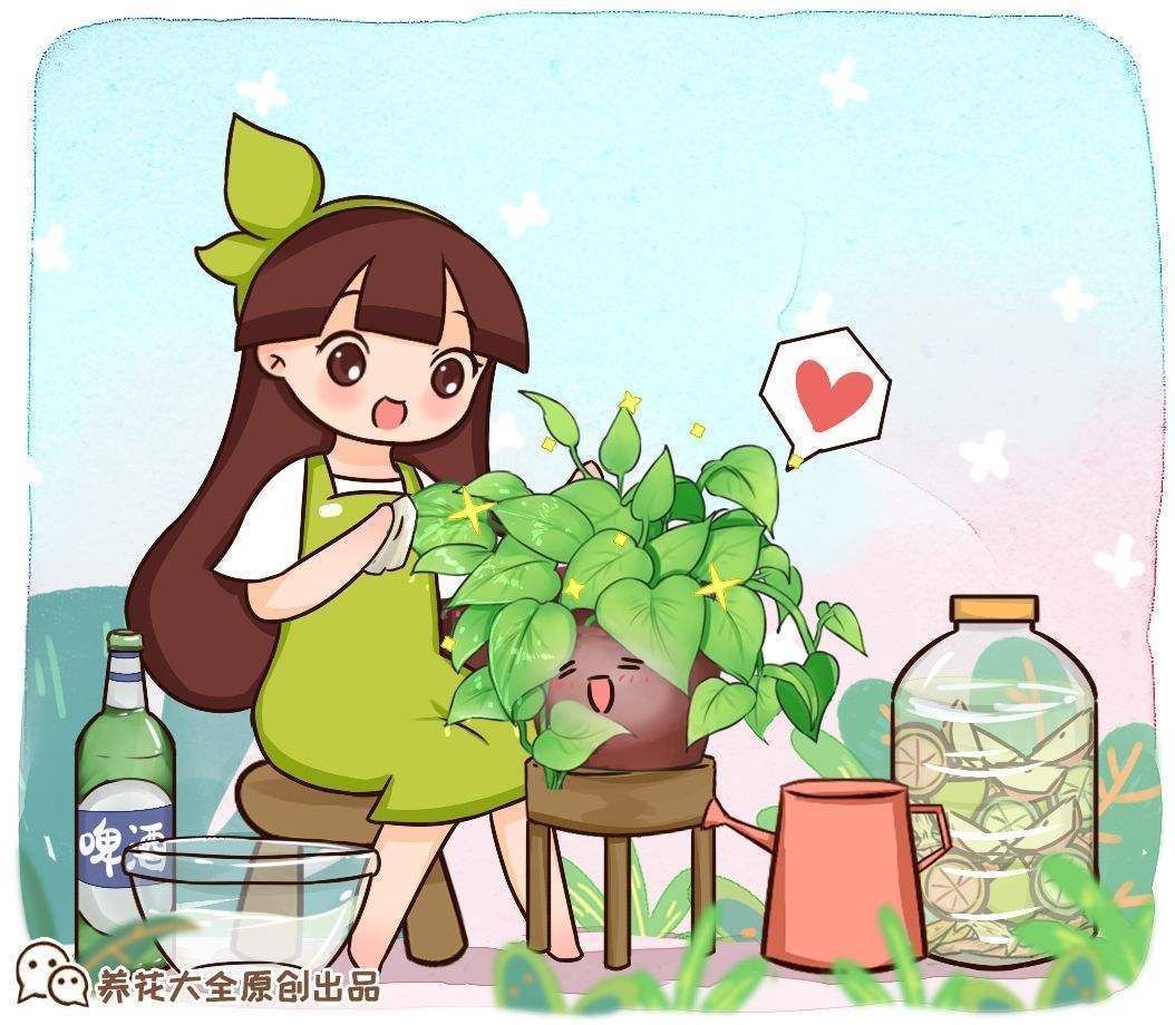 神器|你还在扔柚子皮?冬季养花神器!学会之后我又买了一箱柚子